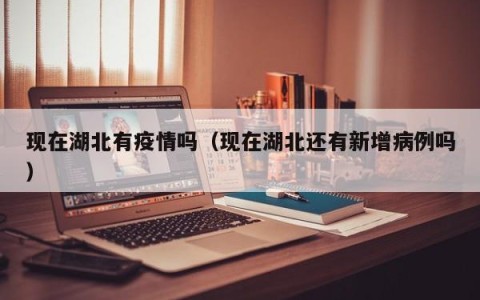 现在湖北有疫情吗（现在湖北还有新增病例吗）
